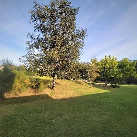 Appartement A Hendaye Avec Piscine Et A Cote De La Plage Eksteriør bilde